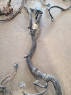 WRANGLER  2008 Engine Wire Harness 673119