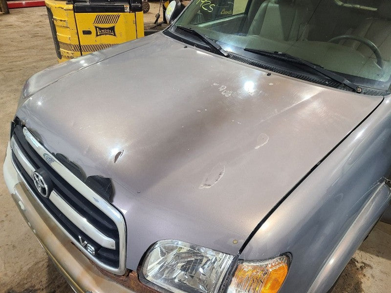 Hood Fits 01-07 SEQUOIA 657724