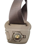 SEQUOIA   2002 Seat Belt Rear 600599