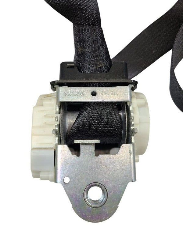SIEDENALI 2010 Seat Belt Rear 613151