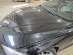 Hood Fits 12-18 BMW 320i 604475