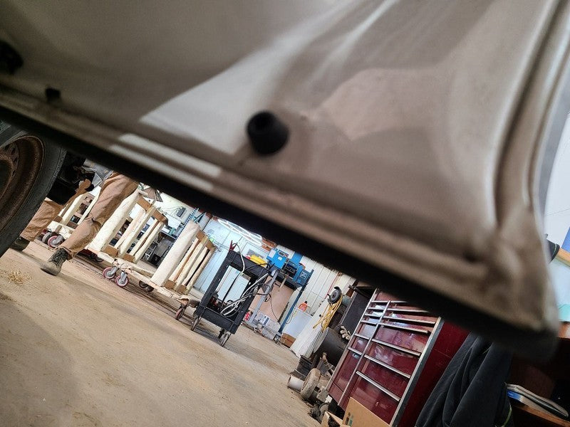 Passenger Front Door Limited Body Side Moulding Fits 96-02 4 RUNNER 66