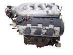 99 Honda Odyssey Engine 3.5