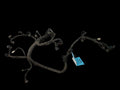 OUTBAKLEG 2011 Engine Wire Harness 652213