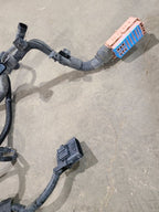 SIERDEN15 2014 Lamp Wiring Harness 625680