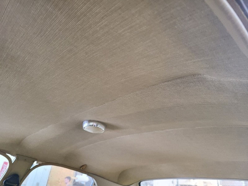DART      1975 Headliner 668147