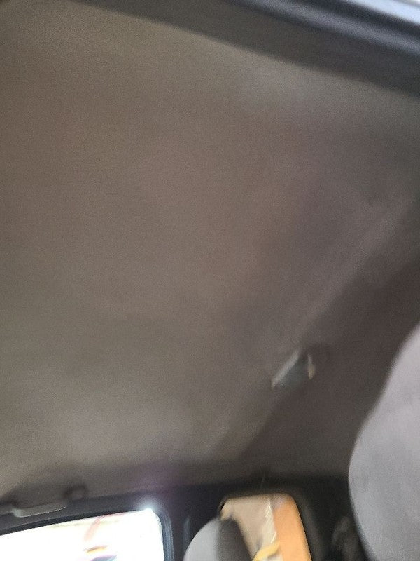 TACOMA    1998 Headliner 673164