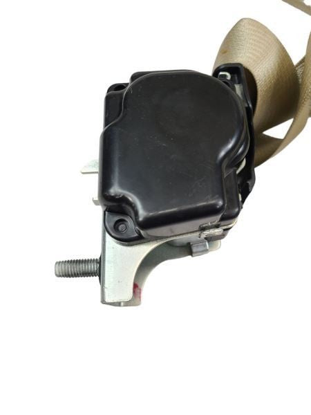 TAURUS    2015 Seat Belt Rear 585602