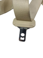 TAURUS    2015 Seat Belt Rear 585604