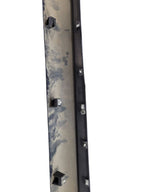 PACIFICA  2018 Rocker Panel Moulding 676787