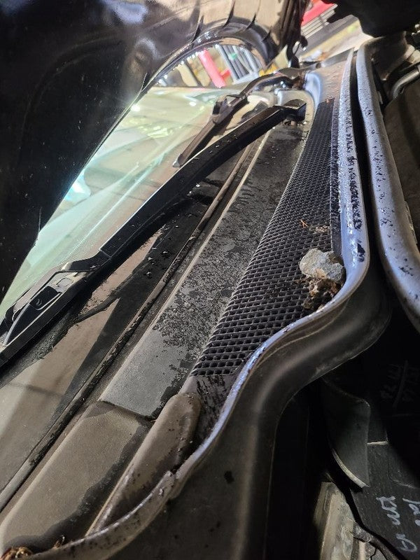 DURANGO   2019 Cowl 669096