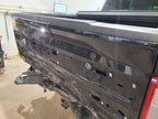 Trunk/Hatch/Tailgate Platinum Fits 21-23 FORD F150 PICKUP 680765