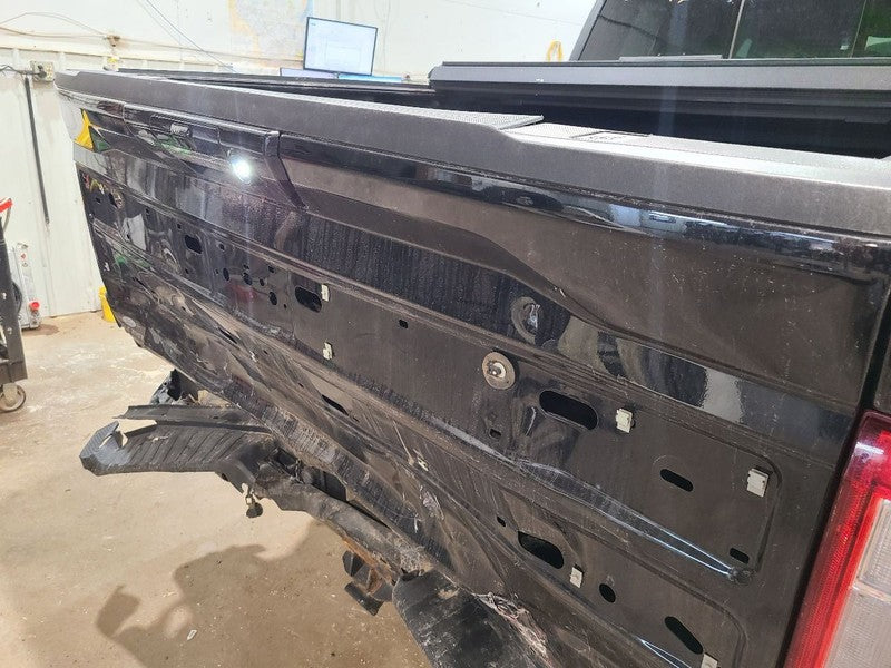 Trunk/Hatch/Tailgate Platinum Fits 21-23 FORD F150 PICKUP 680765