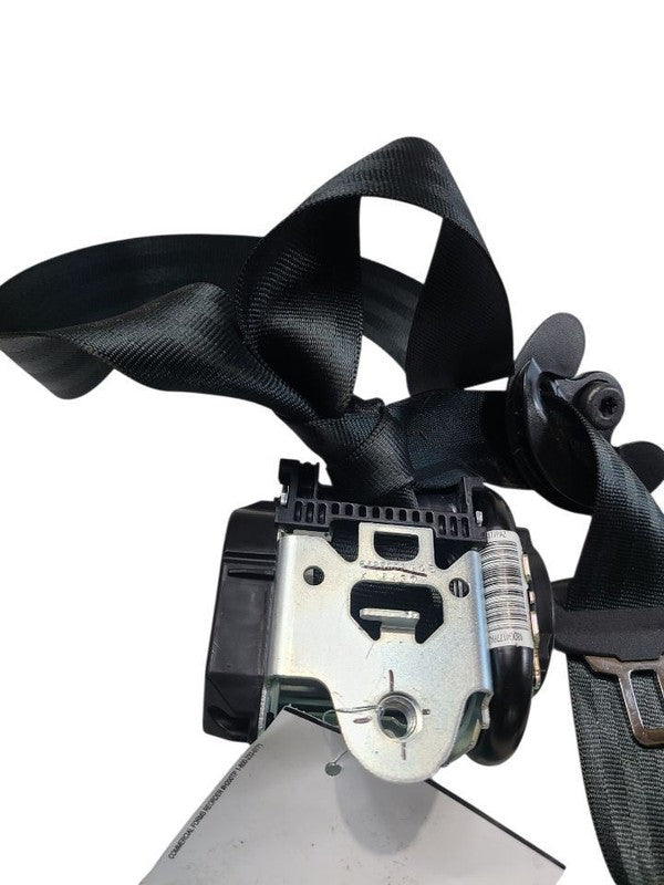 BRONCOSPT 2024 Seat Belt Rear 664004