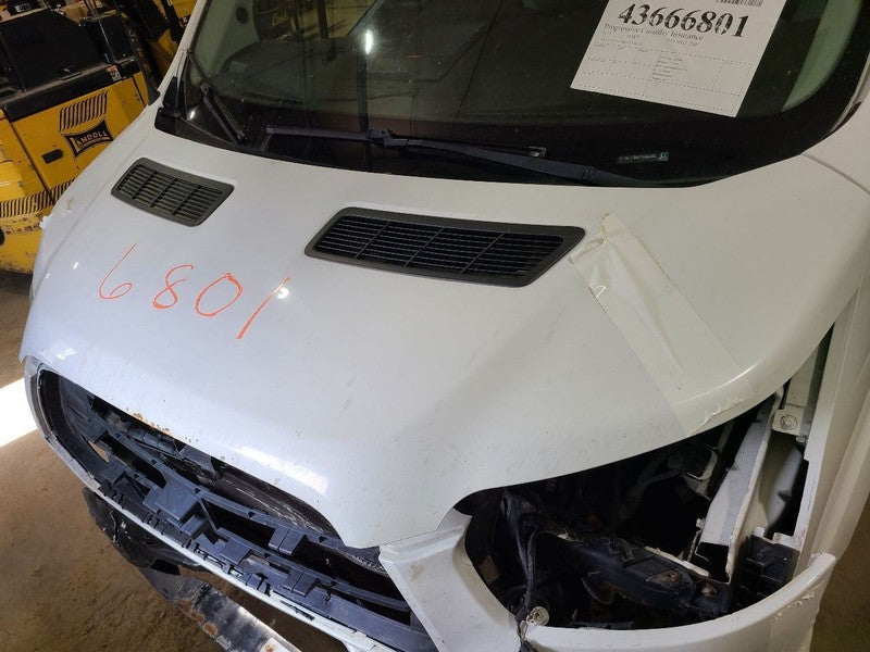 Hood Fits 15-19 TRANSIT 150 661786
