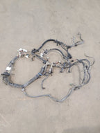 TACOMA    2005 Engine Wire Harness 673800