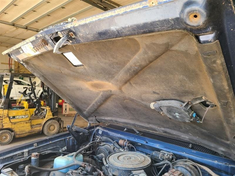 Hood Fits 81-93 DODGE 150 PICKUP 589809