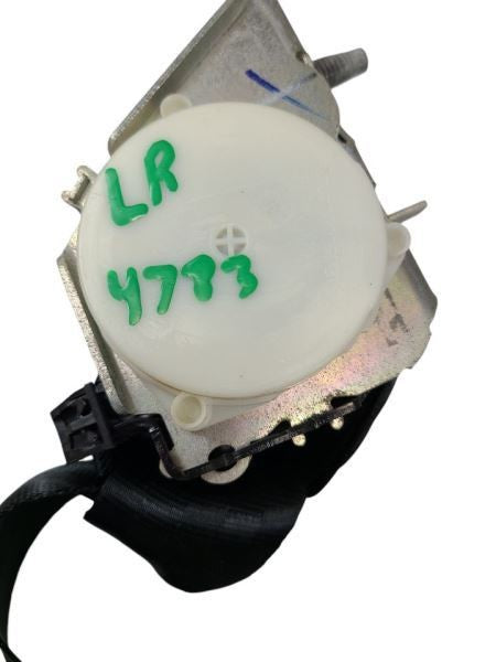 FOCUS     2017 Seat Belt Rear 601039