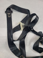 EDGE      2017 Seat Belt Rear 612790