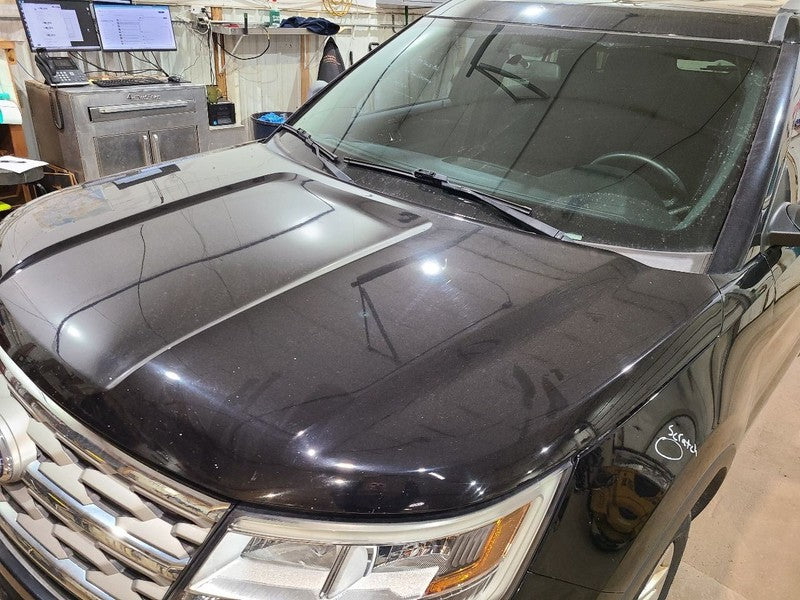 Hood Fits 16-19 EXPLORER 663598