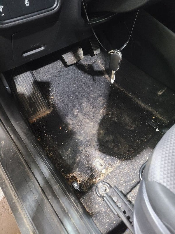 SOUL      2020 Carpet Front 669316