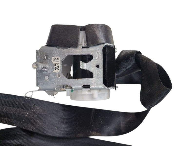 FOCUS     2012 Seat Belt Rear 640892