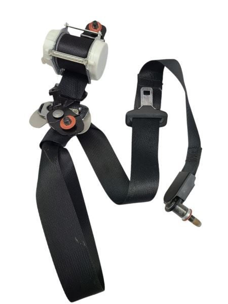 TELLURIDE 2020 Seat Belt Rear 601518