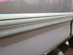 Driver Rear Side Door Extended Cab Side Moulding Fits 00-06 TUNDRA 657