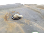 Fuel Tank From 8501 GVW Behind Rear Axle Fits 90-97 FORD F250 PICKUP 6