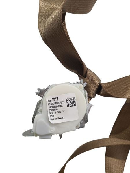 ESCALAESV 2017 Seat Belt Rear 590644