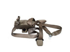 SUBCHEV15 1999 Seat Belt Front 591045