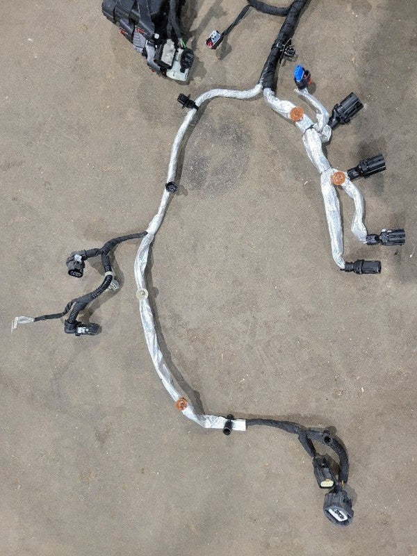 ENCOREGX  2025 Engine Wire Harness 679820