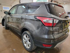 Seat Belt Front Bucket Passenger Buckle Fits 16-19 ESCAPE 548964