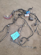MALIBU    2018 Lamp Wiring Harness 620150