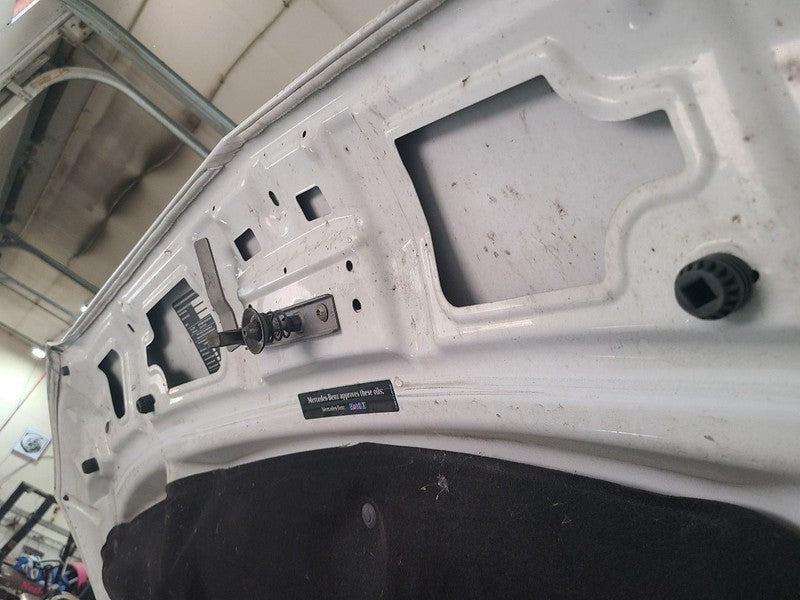 Hood Fits 14-18 MERCEDES SPRINTER 2500 679647