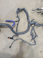 F350SD    2003 Engine Wire Harness 676051