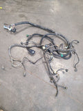 RAM1500   2001 Engine Wire Harness 667088