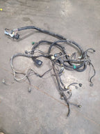 RAM1500   2001 Engine Wire Harness 667088