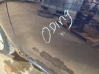 Driver Front Door Electric Express Down Window Opt Jpd Fits 13-16 DART