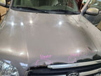 Hood Fits 01-07 SEQUOIA 657724