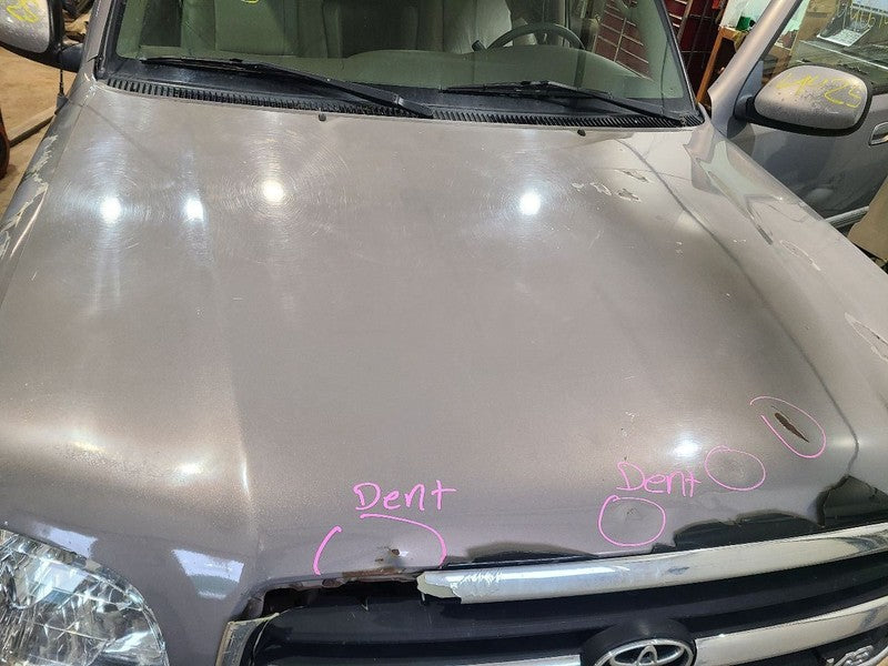 Hood Fits 01-07 SEQUOIA 657724