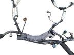 XJ        2016 Engine Wire Harness 640415