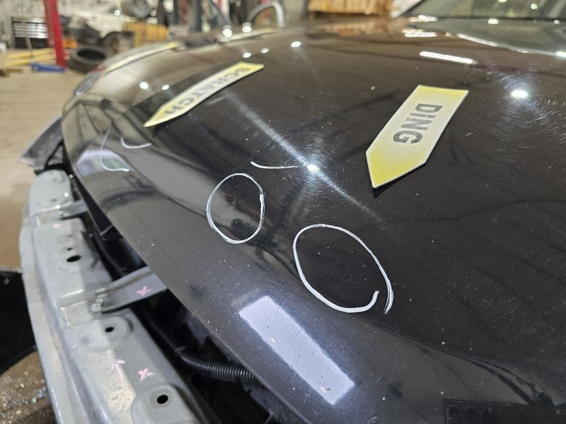 Hood Fits 15-21 OUTLANDER 631311