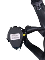 ATLAS     2021 Seat Belt Rear 647672