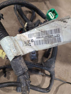 WRANGENEW 2018 Lamp Wiring Harness 662099