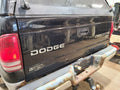 Trunk/Hatch/Tailgate Fits 97-04 DAKOTA 668209