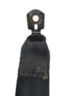 FOCUS     2017 Seat Belt Rear 601039