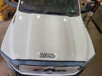 Hood Without Hood Scoop Fits 19-26 DODGE 2500 PICKUP 677865
