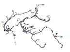 LS460     2008 Lamp Wiring Harness 637596