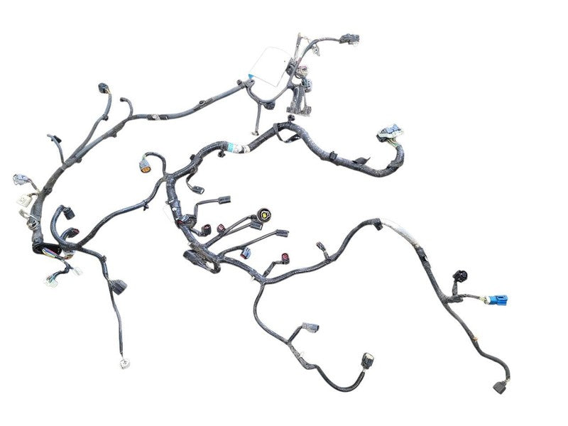 LS460     2008 Lamp Wiring Harness 637596